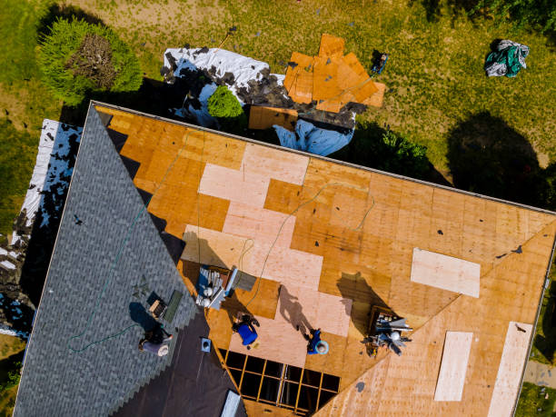 Best Roof Maintenance Services  in Crystal, MN