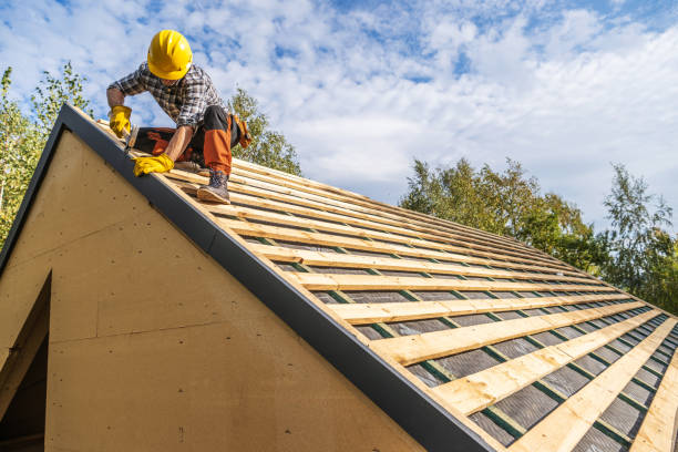 Best Roof Repair Services  in Crystal, MN