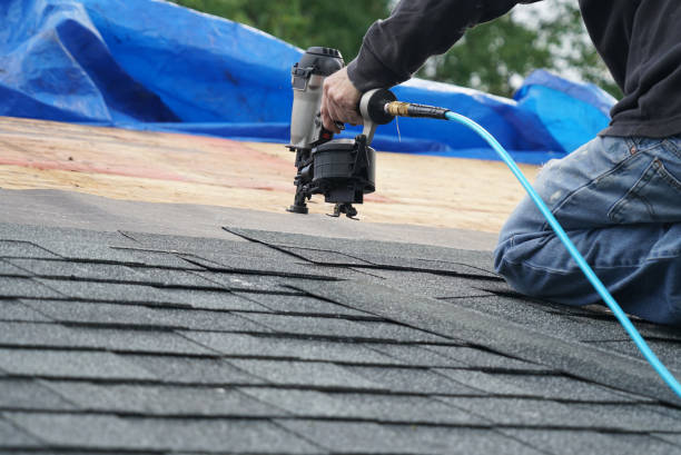 Best Roof Leak Repair  in Crystal, MN