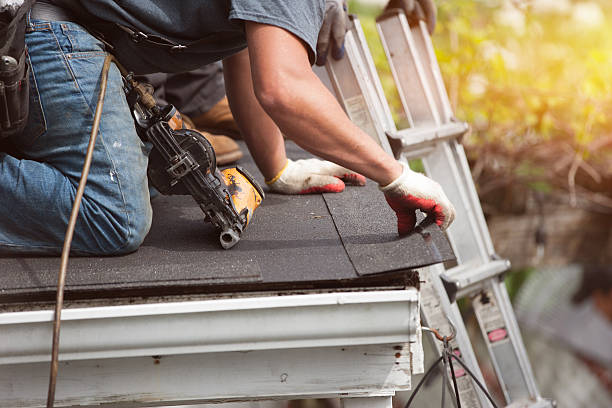 Best Roof Waterproofing Services  in Crystal, MN