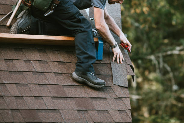 Best Roof Leak Repair  in Crystal, MN